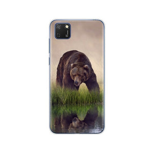 Silicon Case For HONOR 9S Case 5.45" Soft Tpu Phone Cover On Huawei Honor 9S 9 S DUA-LX9 Back Bag Protective Coque Funda
