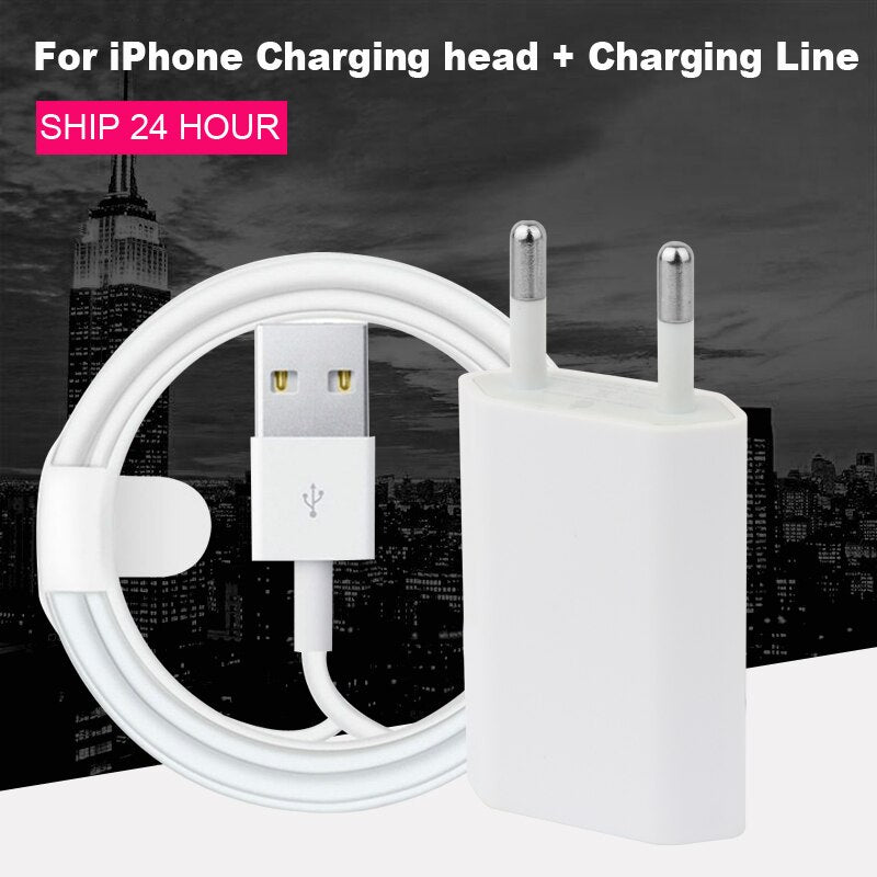 Original Wholesale 1M 2M Data USB Cable and plug for iPhone Charger Charging Cable For iPhone 5 6 7 8 Plus Charger line