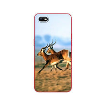 Load image into Gallery viewer, For OPPO A1K Case 6.1&quot; Soft Silicon TPU Back For OppoA1K CPH1923 Phone Cover Bumper Bag
